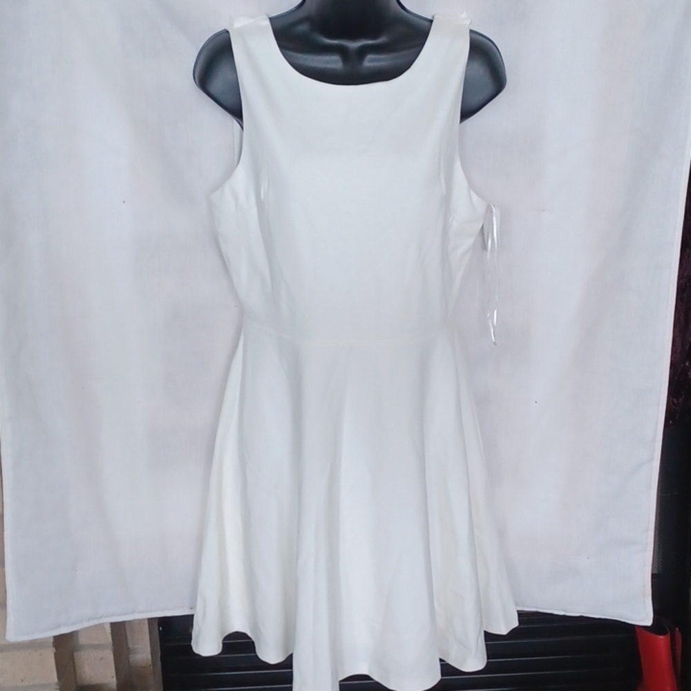 FRANCESCA’S Ivory Skater Dress *NWT*